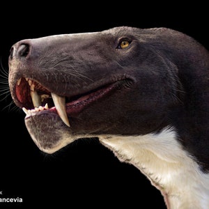 Inostrancevia