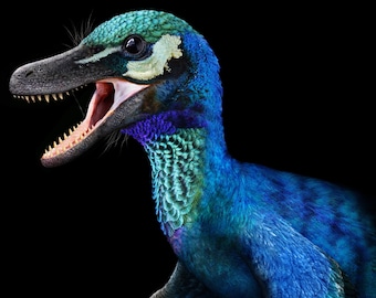 Pyroraptor