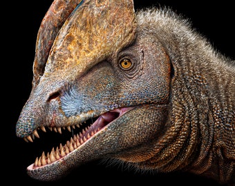 Dilophosaurus