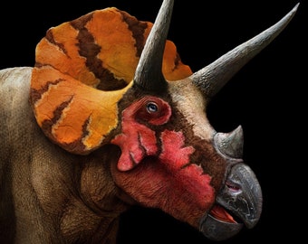 Triceratops