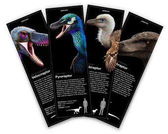 Raptors - Bookmarks Collection