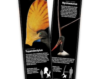 Tupandactylus & Nyctosaurus - Bookmarks