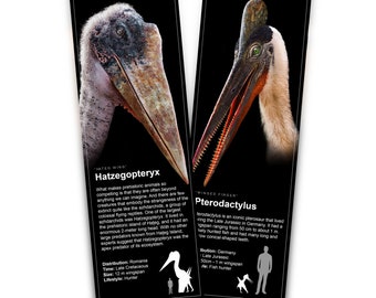 Hatzegopteryx & Pterodactylus - Bookmarks