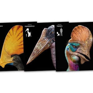 Paleo Cards - Cretaceous Pterosaurs