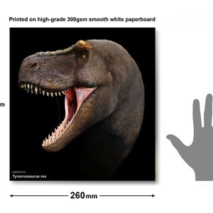 Tyrannosaurus rex image 3