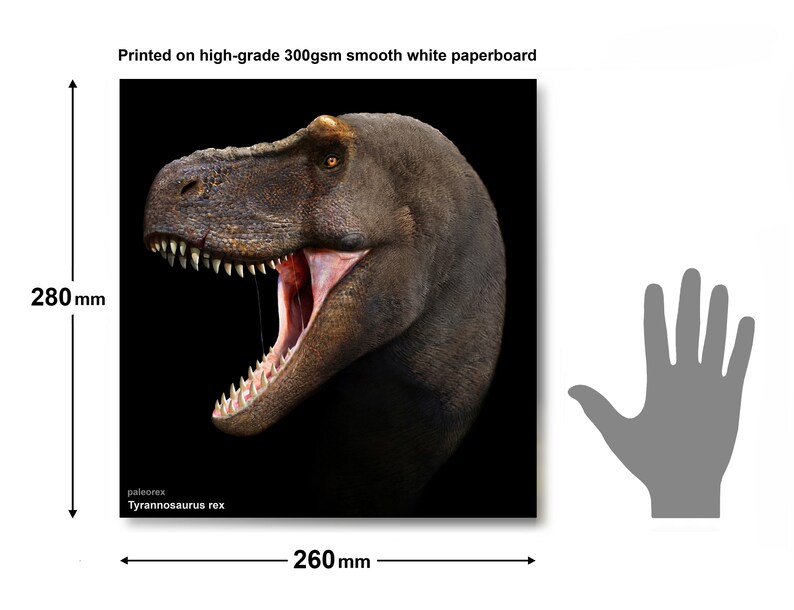 Tyrannosaurus rex image 3