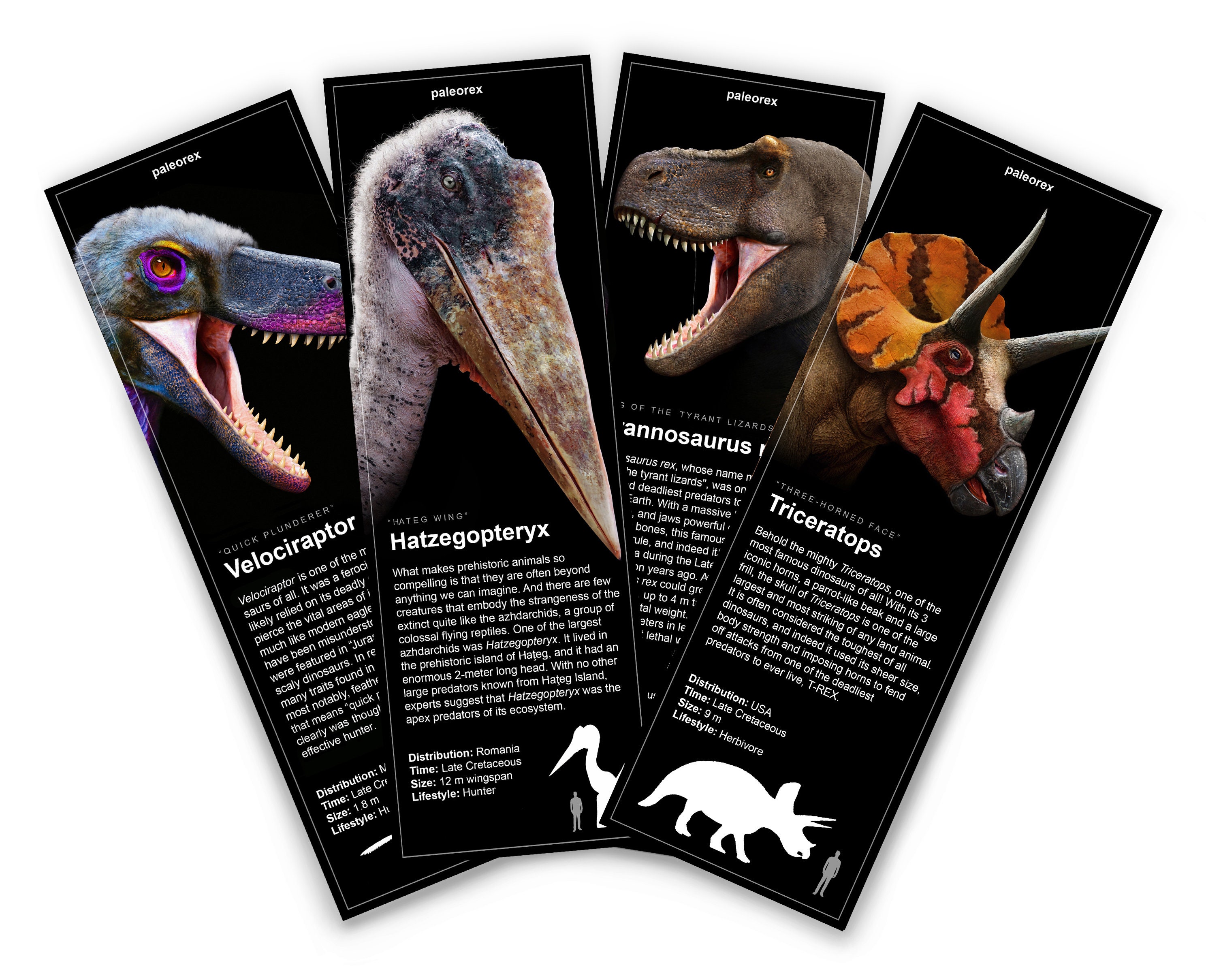 16 Dinosaurs ideas  prehistoric animals, prehistoric creatures, paleo art