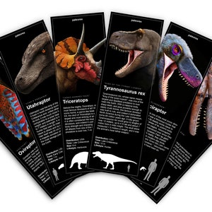 Puede incluir: Un conjunto de seis tarjetas de dinosaurios coloridas con ilustraciones e información sobre cada dinosaurio. Los dinosaurios que aparecen son Oviraptor, Utahraptor, Triceratops, Tyrannosaurus Rex, Velociraptor y Baryonyx.