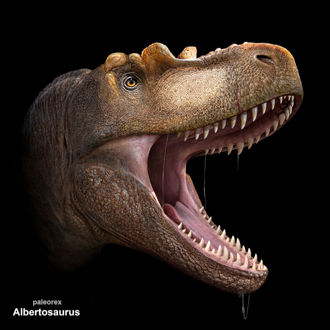 Albertosaurus Etsy albertosaurus-etsy