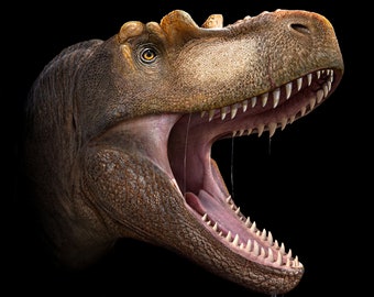 Albertosaurus