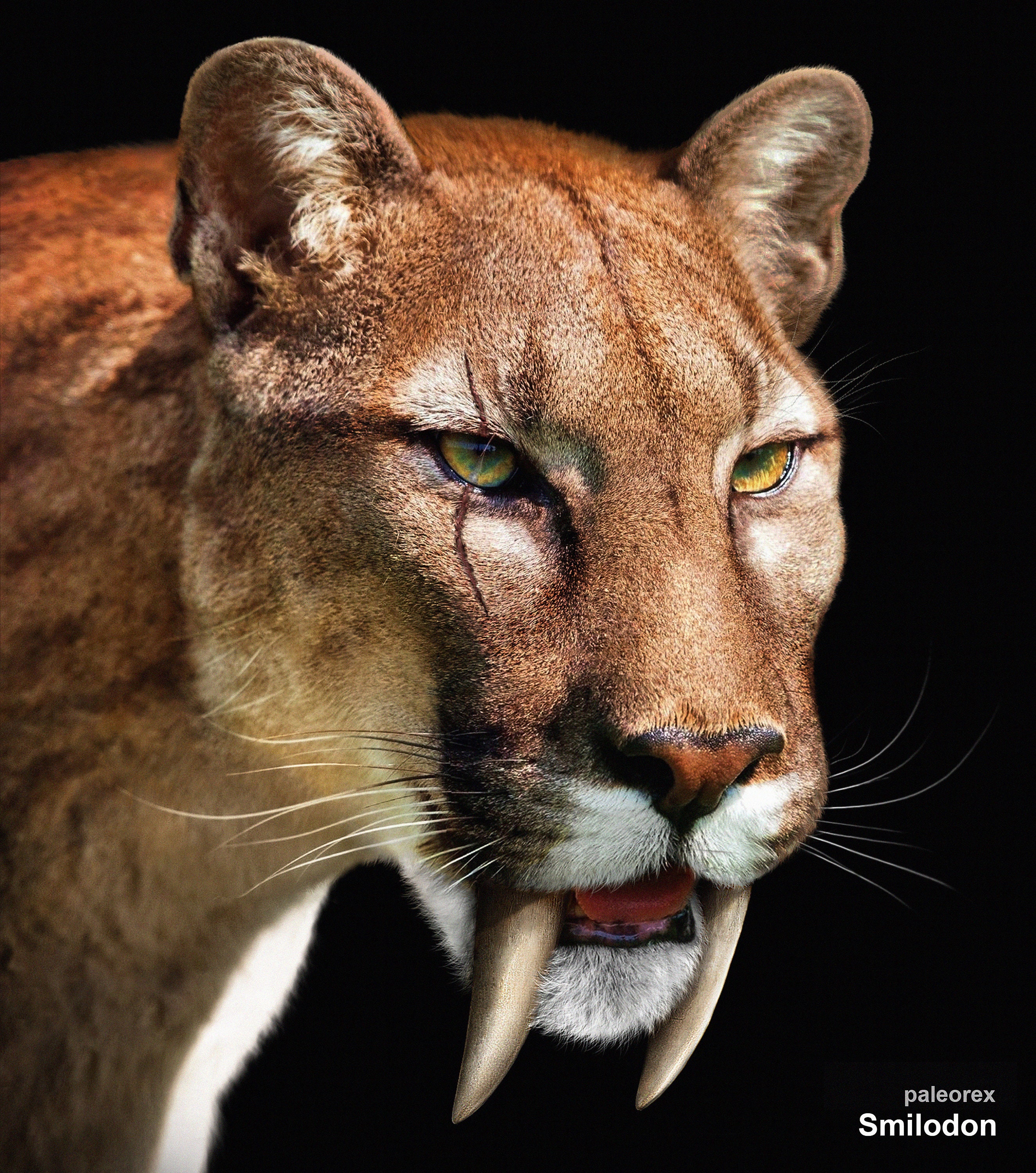 Smilodon