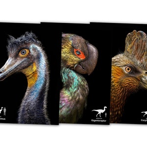 Paleo Cards - Cretaceous Pterosaurs