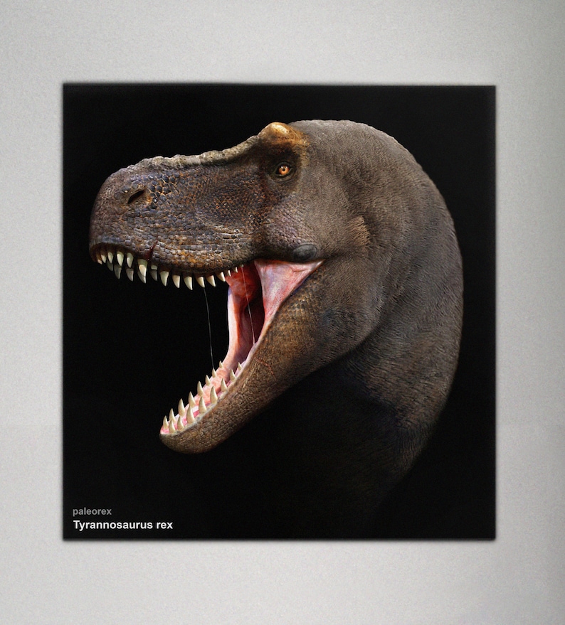 Tyrannosaurus rex image 2