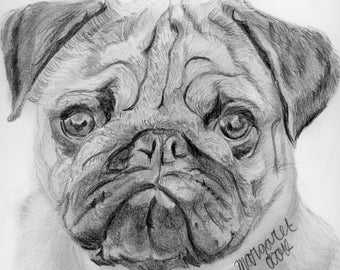 Pug - Dog Portrait Print