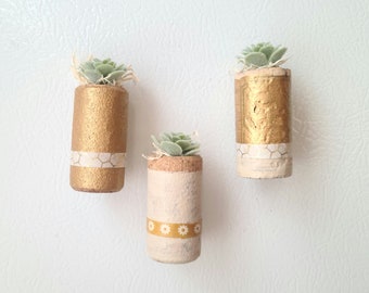 Cork Succulent or Air Plant Favors | Magnet or Desk Display Options | No Plant Included - Planter Only | For Adult Use Only