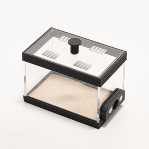 Ant Farm Outworld