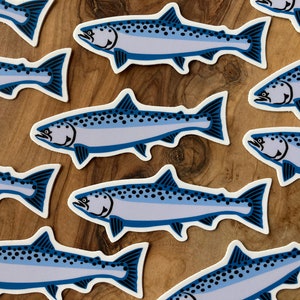 Mini King Salmon Sticker - Chinook, Atlantic Salmon Decal for Lures, Tackle, Boats - High-quality, Durable, Fishing Gift, Kids Gifts Fishing