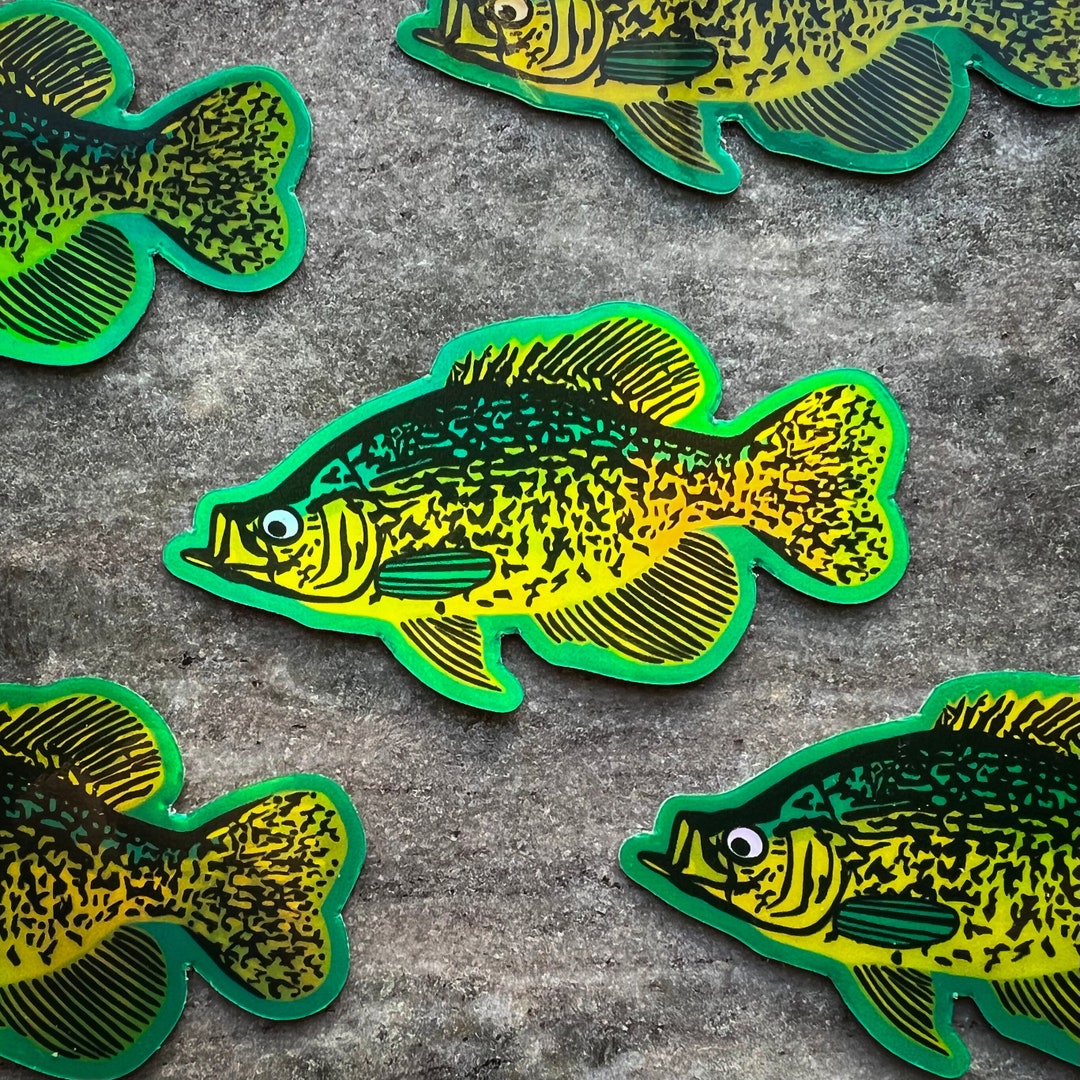 Mini Holographic Crappie Sticker Fish Decal for Outdoor/sport