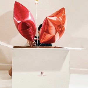 GIANT Surprise Box!!