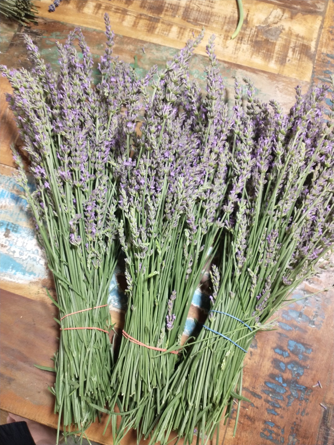 Lavender Bundle 200 Stem Dried Bunches Etsy
