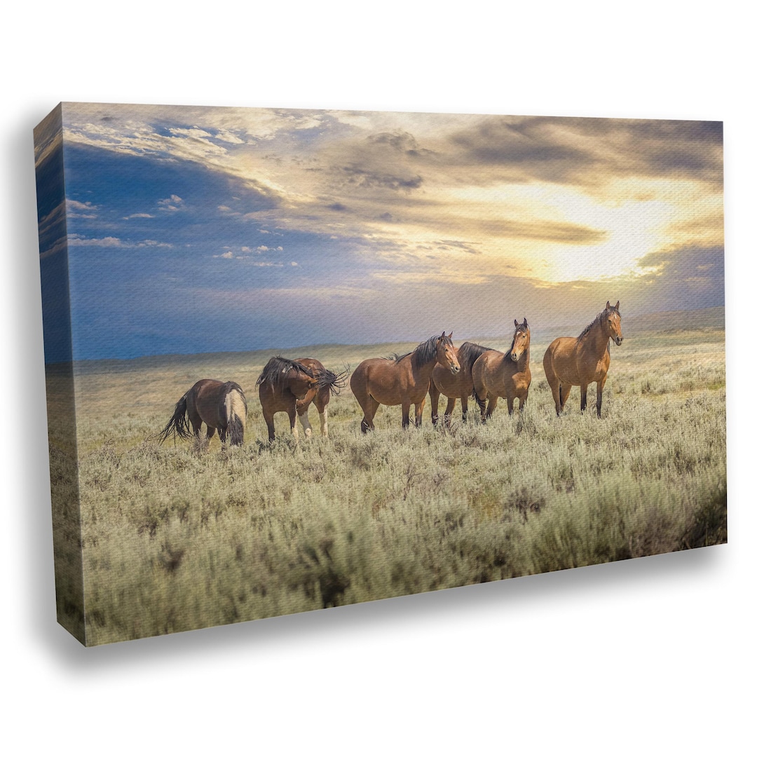 Wyoming Wild Horses Wall Art Print, Wild Mustang Photo Canvas, Cowboy ...