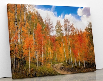 May include: A winding dirt track leads through a forest of aspen trees with vibrant autumn foliage in shades of orange, yellow, and red. The trees are tall and slender, with white bark. The sky is blue with white clouds.