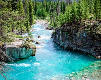 Pode incluir: Um rio azul turquesa flui através de uma floresta verdejante com montanhas cobertas de neve ao fundo.