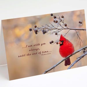 May include: A greeting card featuring a vibrant red cardinal perched on a branch with berries. The card has the text "...I am with you always, until the end of time..." from Matthew 28:20. The background is a soft, blurred landscape.