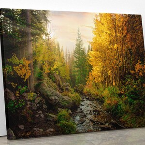 Rocky Mountain National Park Fall Aspens, Mountain Path in Autumn, Colorado Autumn Landscape Canvas