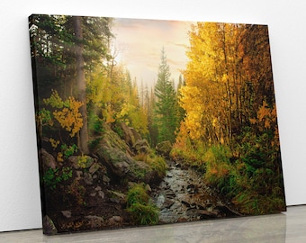 Rocky Mountain National Park Fall Aspens, Mountain Path in Autumn, Colorado Autumn Landscape Canvas