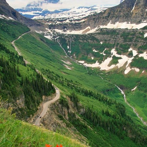 May include: A winding road leads through a mountain valley with snow-capped peaks and lush green vegetation. Wildflowers bloom in the foreground.