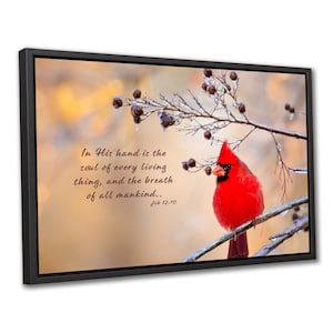 May include: Framed artwork featuring a vibrant red cardinal perched on a branch with berries. The image includes the text "In His hand is the soul of every living thing, and the breath of all mankind.. Job 12:10". The background has a soft, blurred effect.