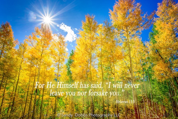 Hebrews 13:5 Aspen Trees Photo, Christian Inspirational Wall Art, He Will Never Leave You Nor Forsake You, Colorado Landscape, Customization