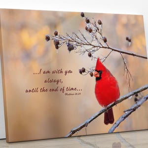 May include: A canvas print featuring a vibrant red cardinal perched on a branch with berries. The bird is set against a soft, blurred background. Text reads "...I am with you always, until the end of time... Matthew 28:20."