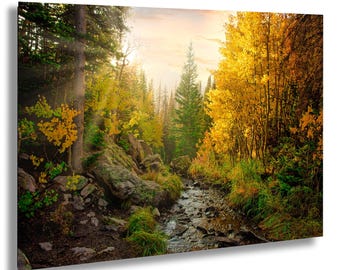 Rocky Mountain National Park Fall Aspens Metal or Acrylic Print, Mountain Path in Autumn