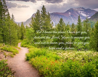 Jeremiah 29:11 Scripture Canvas, Mt Rainier Mountain Scene Bible Verse, Christian Inspirational Wall Art, I Know the Plans I Have for You