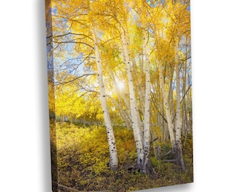 Aspen Tree Wall Art, Colorado Fall Landscape Print, Golden Autumn Forest Photography