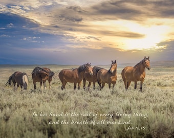 Job 12:10 Wild Horses Bible Verse, Wild Mustang Scripture Canvas, Christian Inspirational Wall Art, Cowboy Old West Decor, In God&#39;s Hand