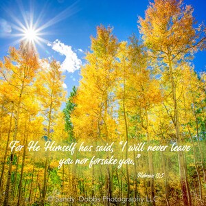 K&ouml;nnte beinhalten: Ein Foto eines Waldes aus goldenen Espen mit strahlend blauem Himmel und einer Sonne, die durch die B&auml;ume scheint. Der Text "Denn er selbst hat gesagt: "Ich werde dich niemals verlassen, niemals von dir lassen." Hebr&auml;er 13,5" ist &uuml;ber das Bild gelegt.