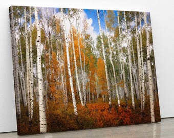 Autumn Aspen Trees Photo Print, Crested Butte Colorado Landscape, Fall Foliage Canvas, Beautiful Forest, San Juan Rocky Mountain Photography
