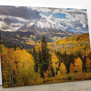 Colorado Autumn Aspens Photo, Rocky Mountain Scenery Print