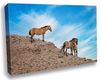 Wild Horses Wall Art Print, Wyoming Mustang Photo, Wildlife Canvas, Cowboy Old West Decor