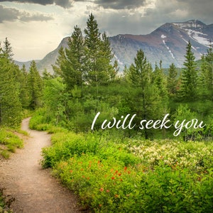 I Will Seek You, Scripture Canvas, Mt Rainier Mountain Scene Bible Verse, Christian Inspirational Wall Art, Jeremiah 29:11