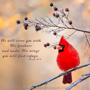 Psalm 91:4, Red Cardinal Bible Verse, Cardinal Scripture Canvas, Christian Inspirational Wall Art, He Will Cover You With His Feathers