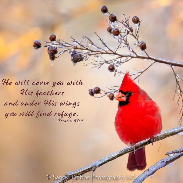Psalm 91:4, Red Cardinal Bible Verse, Cardinal Scripture Canvas, Christian Inspirational Wall Art, He Will Cover You With His Feathers