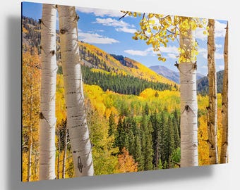 Autumn Aspen Trees Metal or Acrylic Print, Colorado Golden Fall Colors Landscape