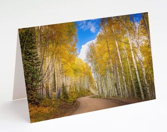Golden Aspen Tree Greeting Card: Colorado Autumn Photography