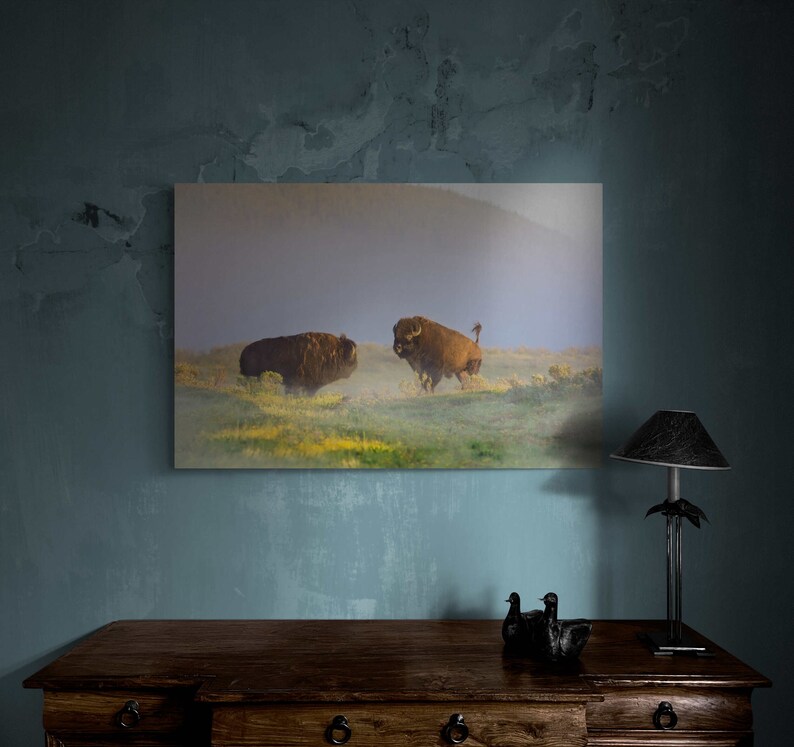 Buffalo Wall Art Print, Bison Photograph, Yellowstone National Park ...