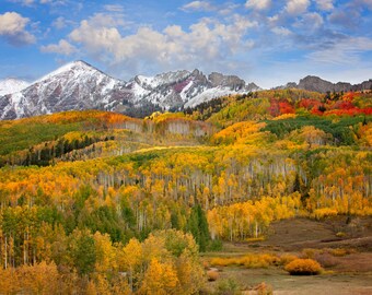 Crested Butte Colorado Autumn Mountain Landscape Photo, Golden Aspen Trees, Fall Nature Canvas Print, San Juan Rocky Mountain Photography