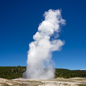 Old Faithful Photo Print, Yellowstone National Park, Geyser, Fine Art Landscape by Original Photographer, Canvas Wall Art Prints for Home